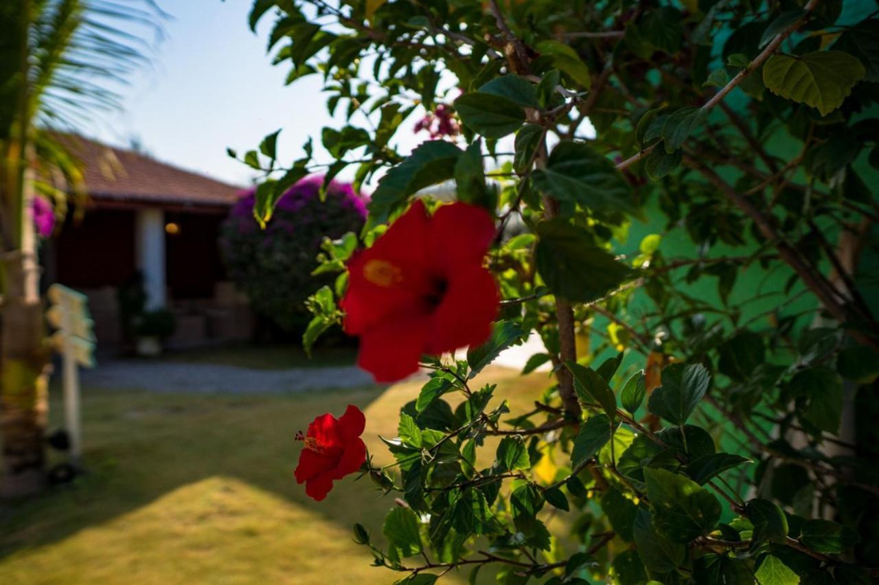 Hotel Vila Jardim パラジュル エクステリア 写真